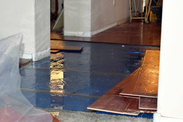 Professional Storm Water Damage Restoration technician working in Prospect Park, NJ